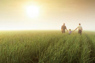 Foto del aplicador de plaguicidas