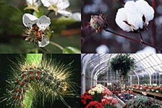 Servicios de Plantas e Industria